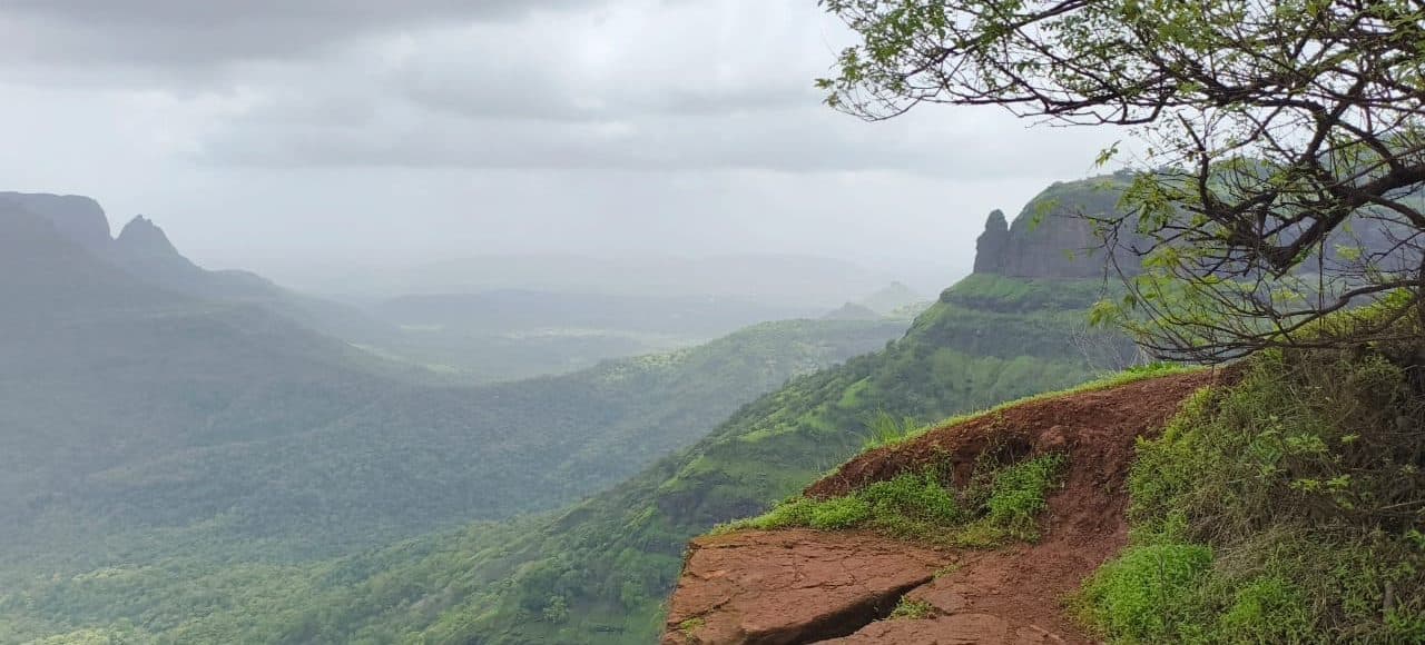 A steep green valley disappearing into mist, seen from a rocky ledge.