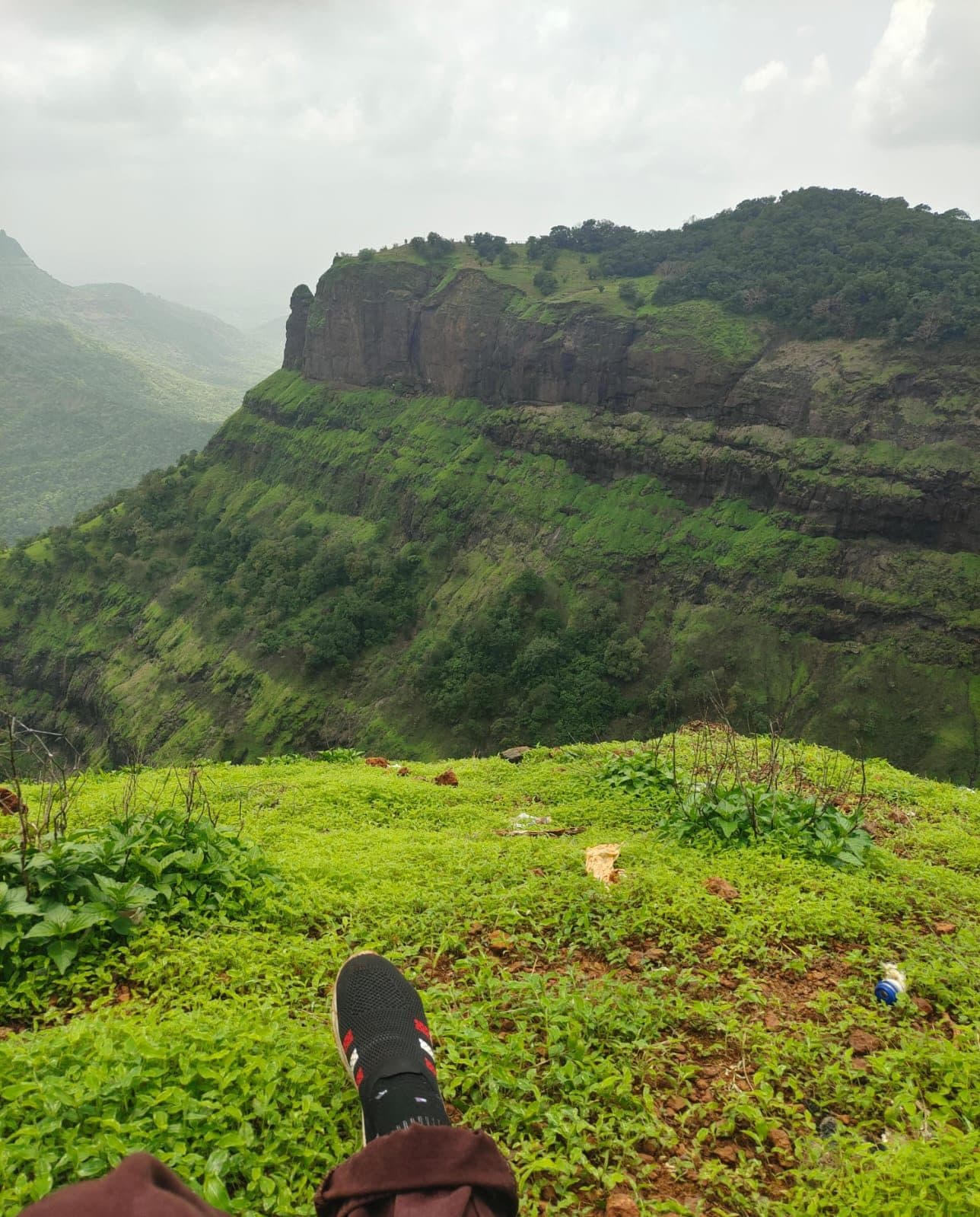 A rounded, heavily vegetated summit rising above forested slopes, with a trekker's boot in the foreground.