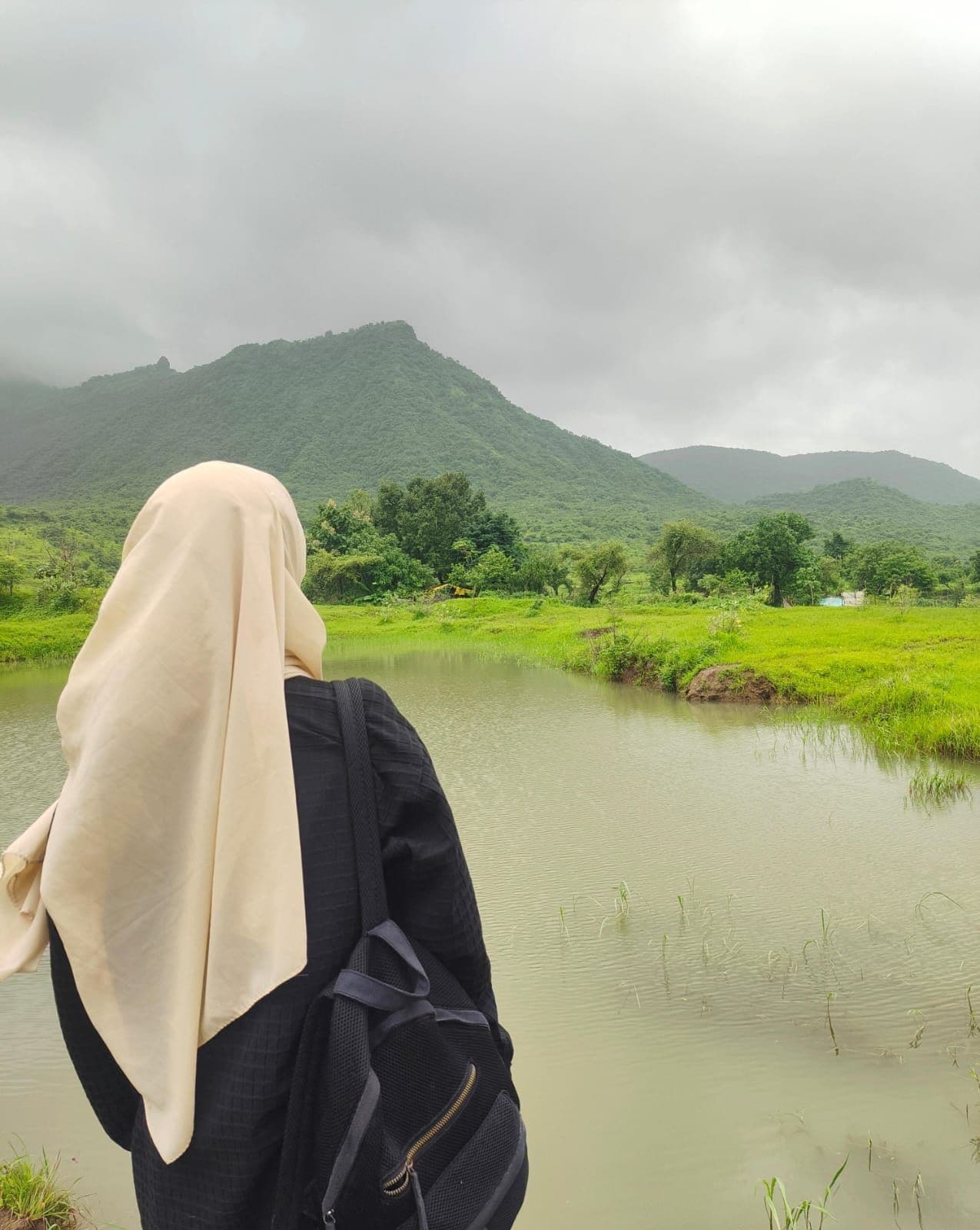 A trekker seen from behind, wearing a backpack, standing at the edge of shallow water facing a green ridge.